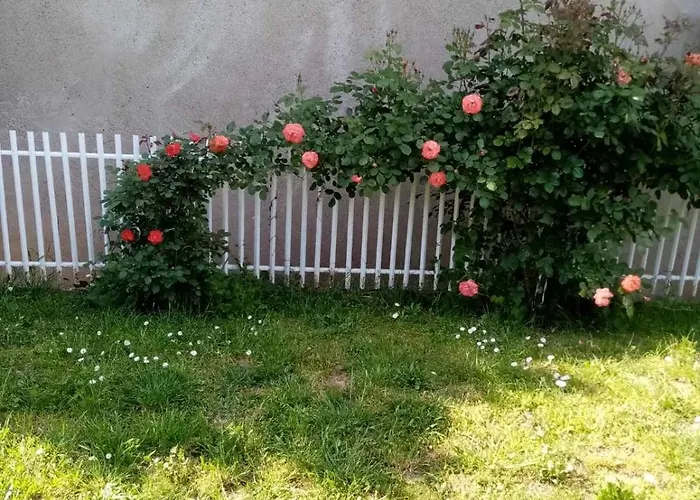 Aurora * スメデレヴォ